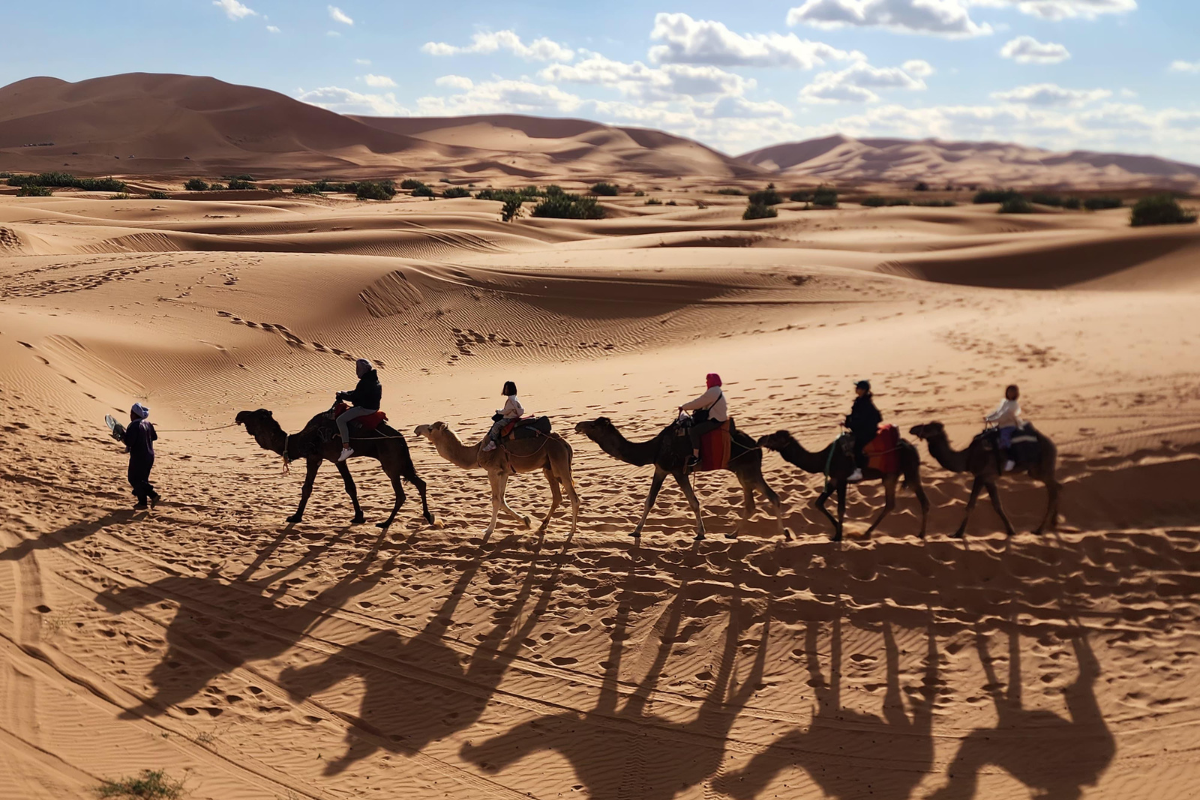 Luxury Tours from Casablanca