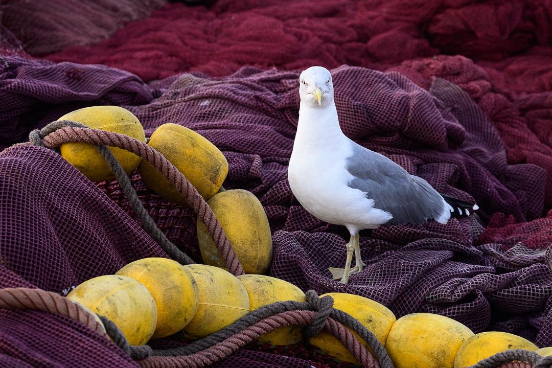 Morocco Photography Tours