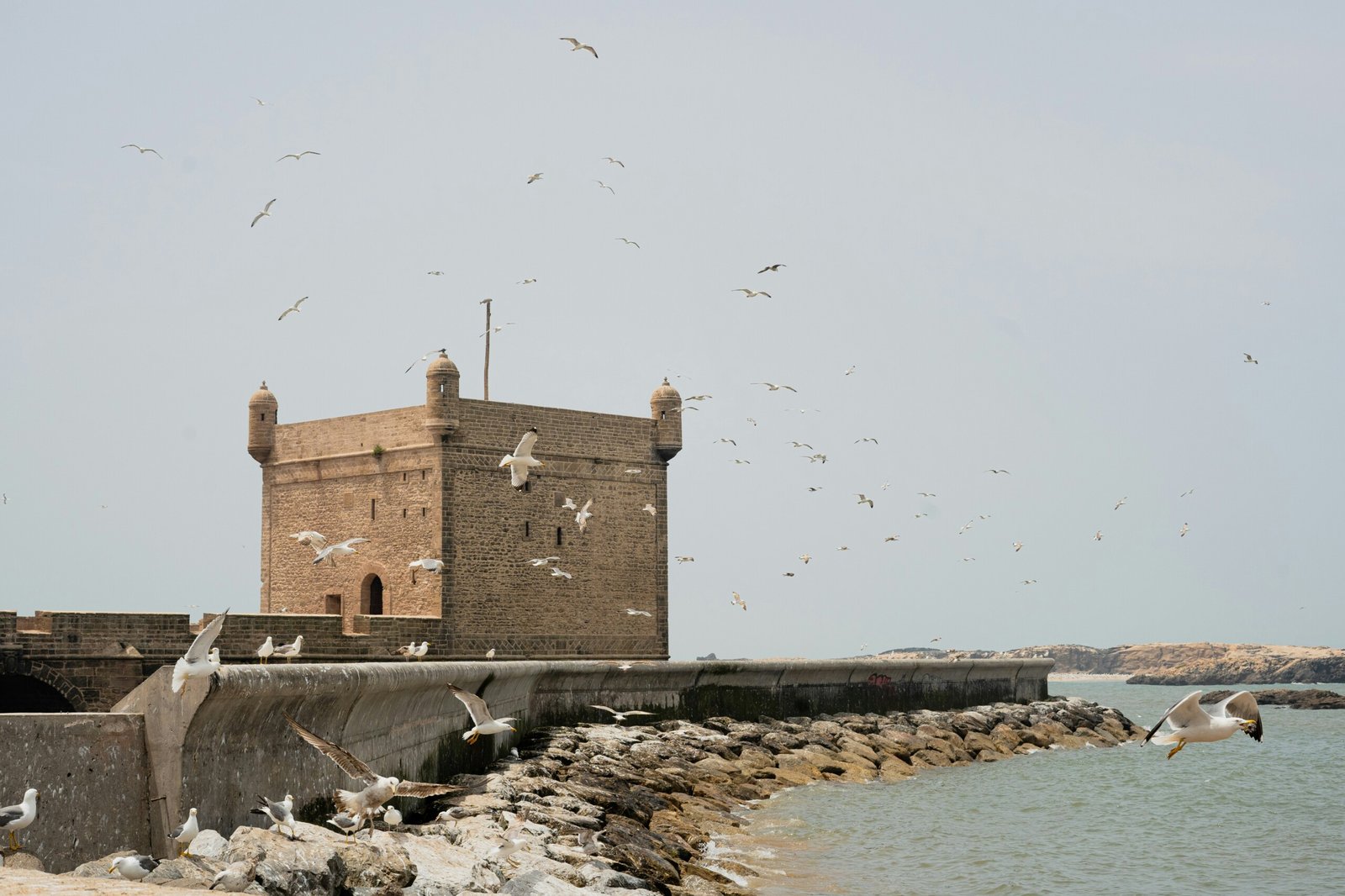 Essaouira coastal Morocco tour from UK