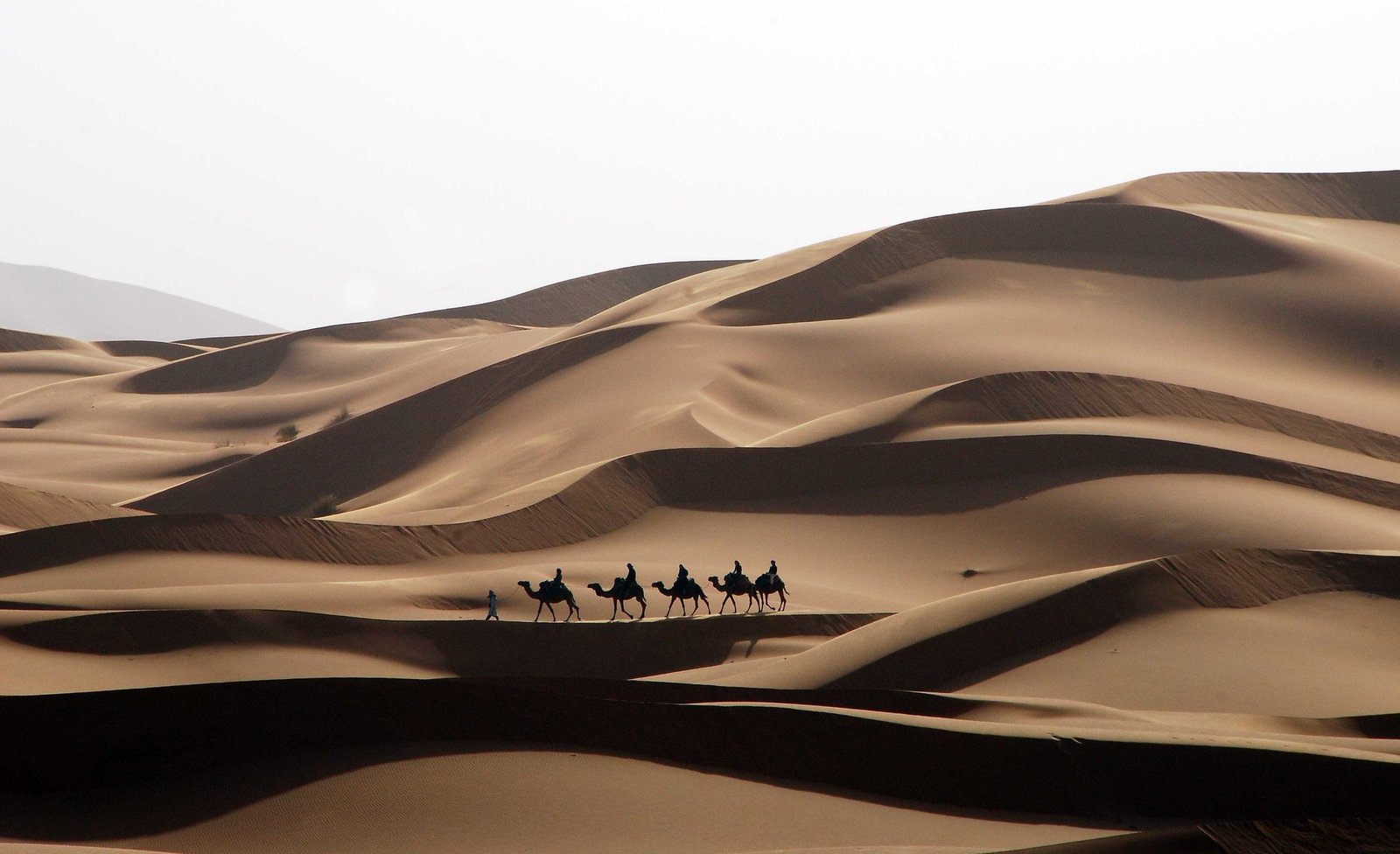 5 Day Morocco Desert Tour From Marrakech