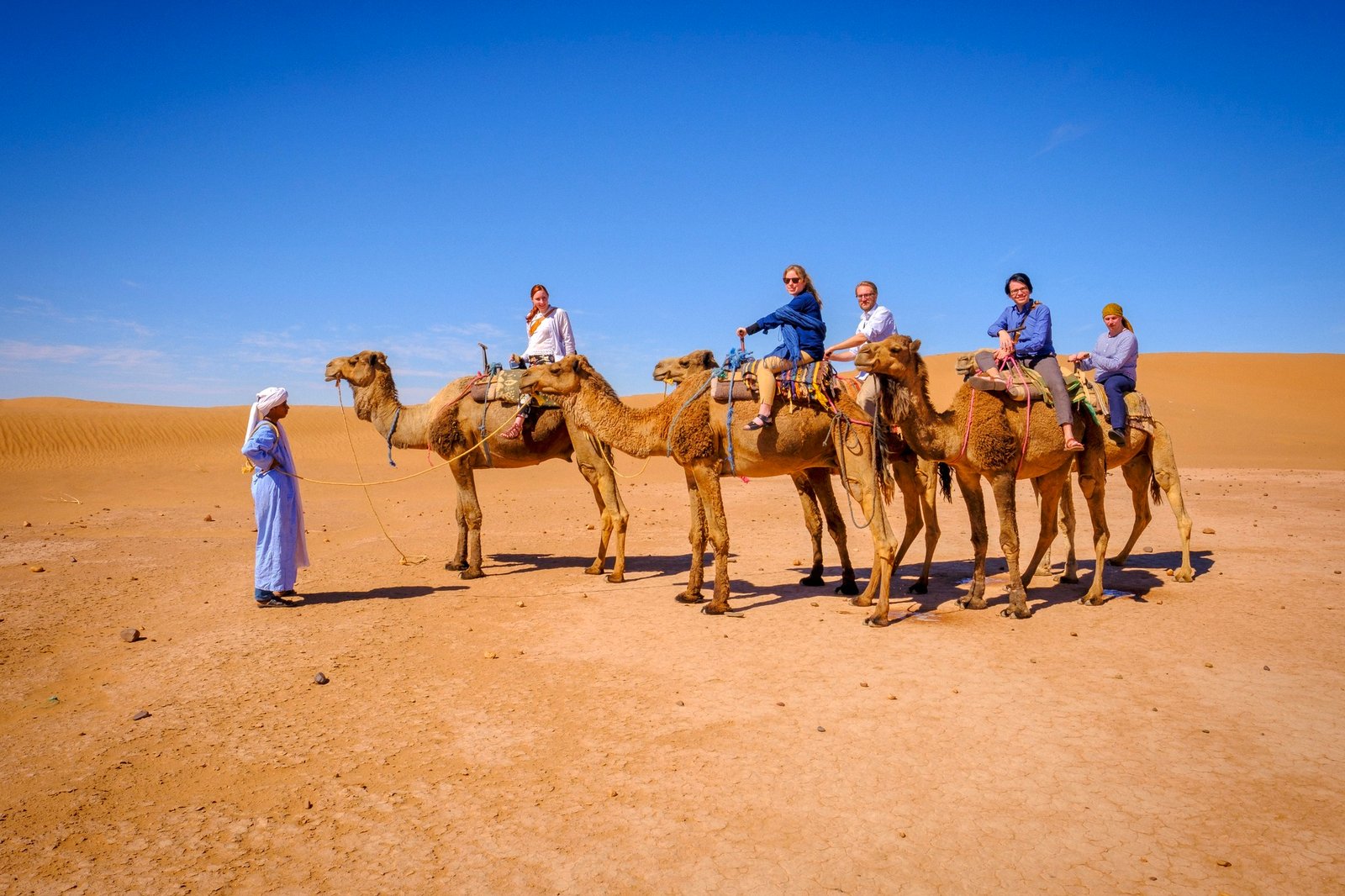 Camel trek in Merzouga Sahara desert Morocco