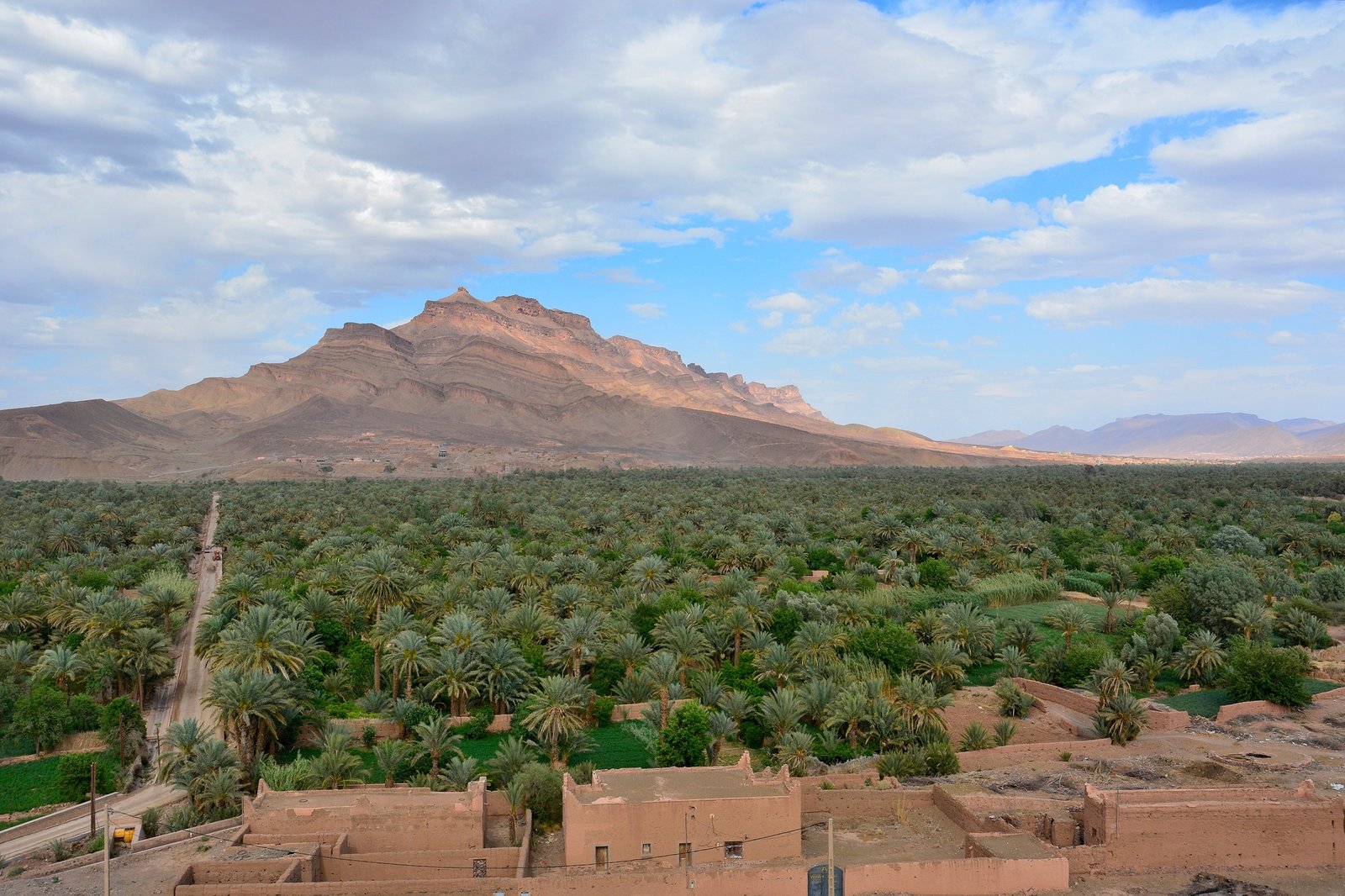 Draa Valley palm grove Morocco