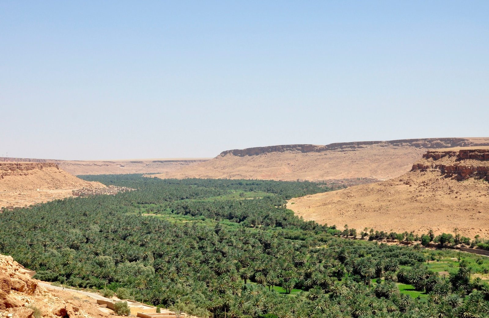 Ziz Valley palm grove landscape Morocco