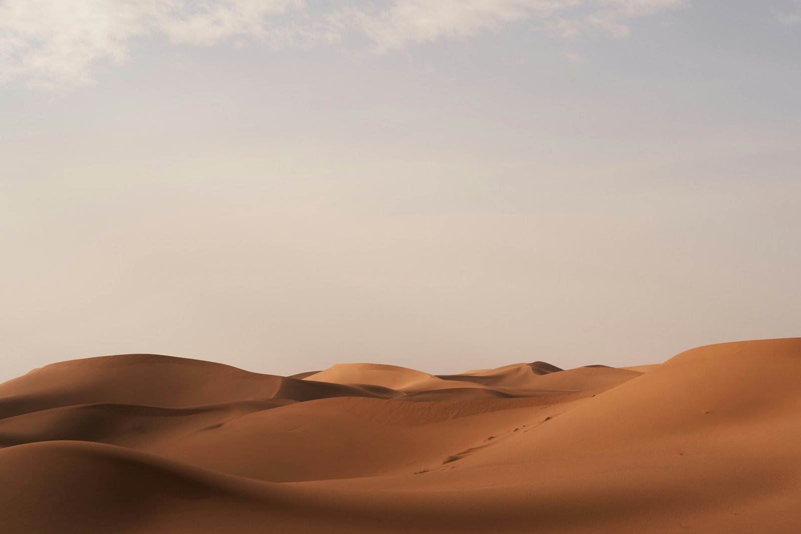 Desert Tour from Casablanca
