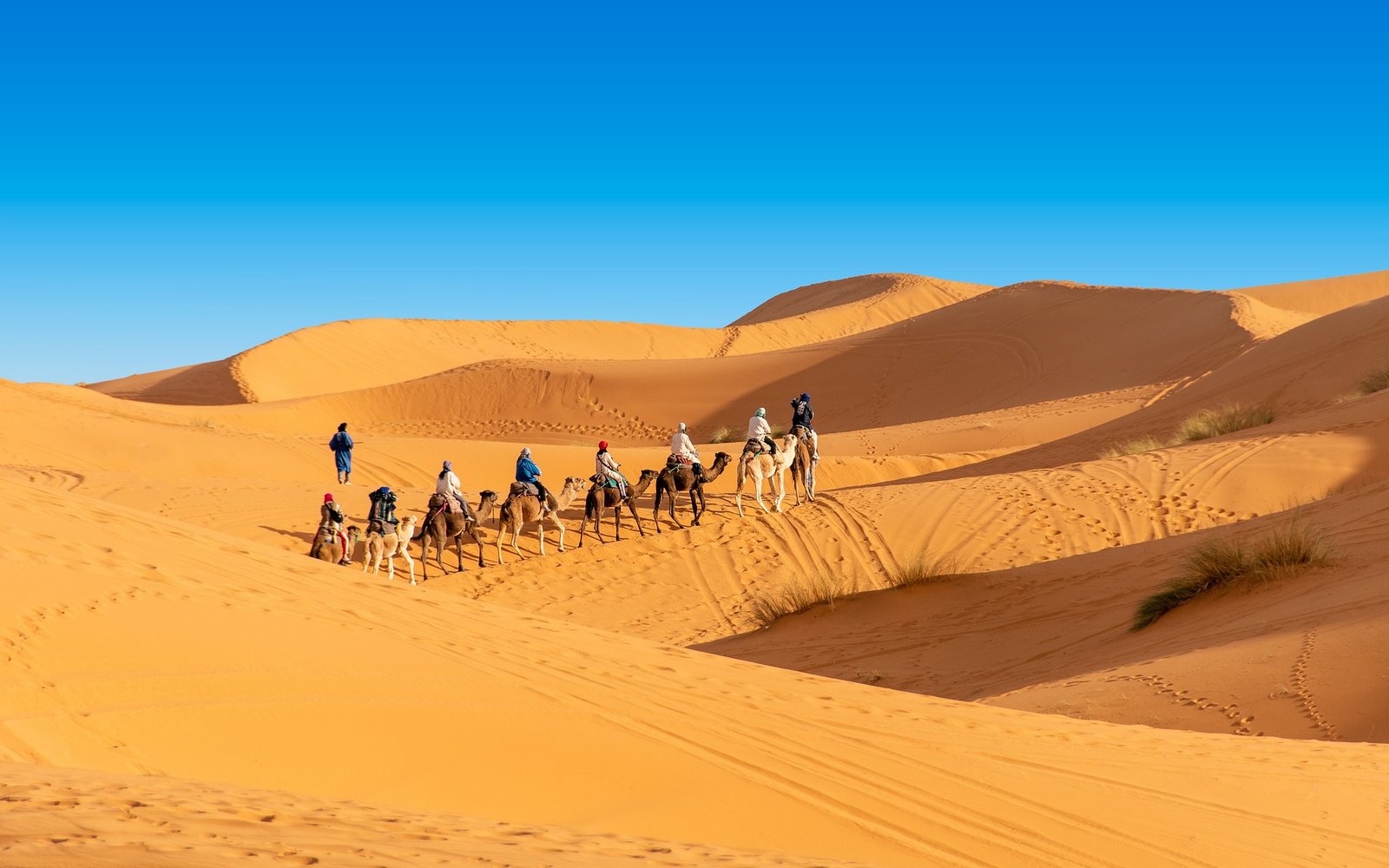 Private Morocco desert tour with camels in the Sahara Desert