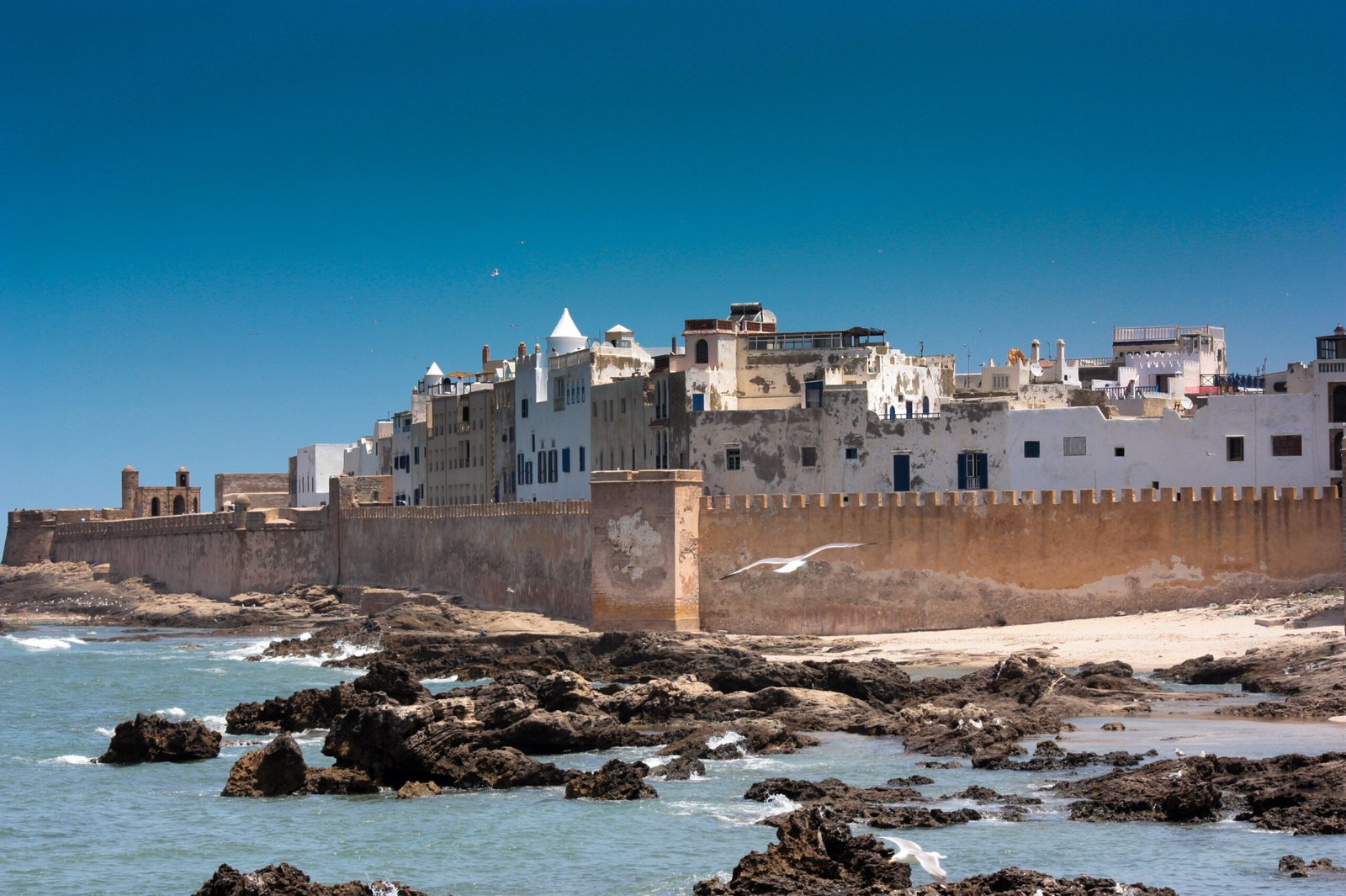 Essaouira Atlantic coast medina on a 14 day Morocco itinerary