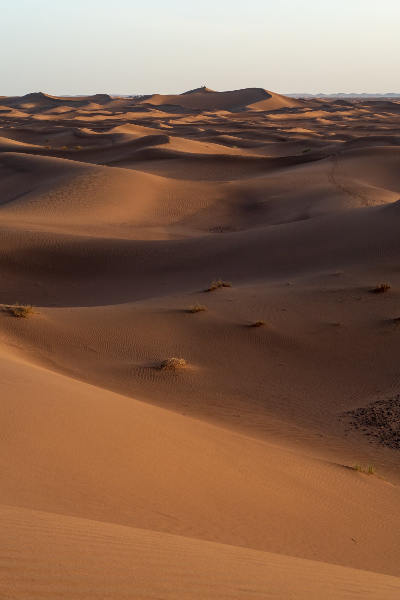 Marrakech to Erg Chigaga 5 day private desert tour